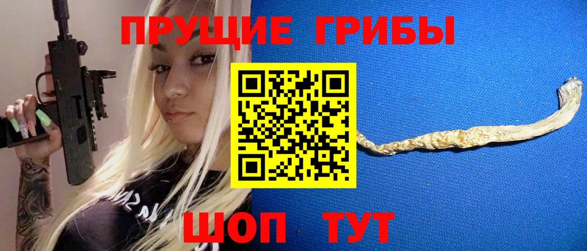 Псилоцибиновые грибы Psilocybine cubensis Екатеринбург